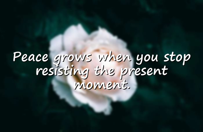 meditation quotes - 11