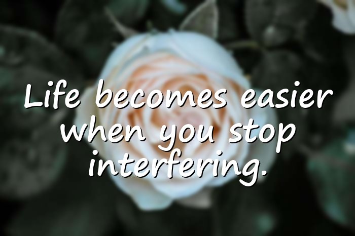 mind your own business quotes - 6