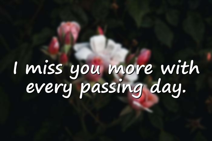 missing someone quotes - 21