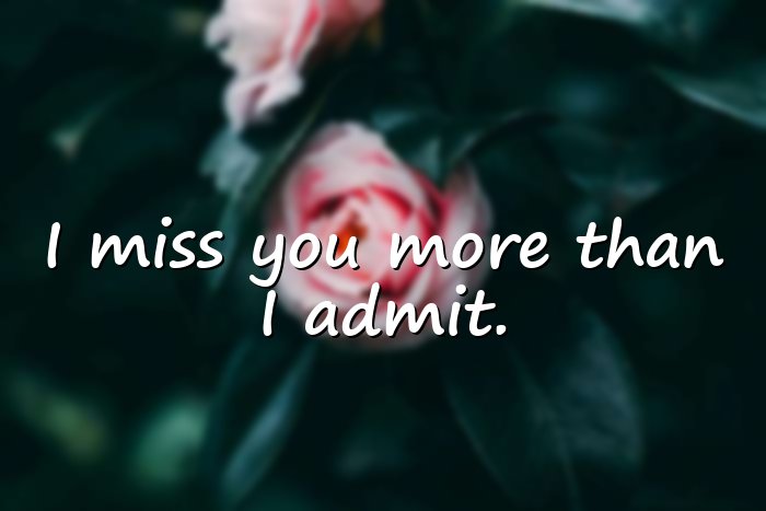 missing someone quotes - 11
