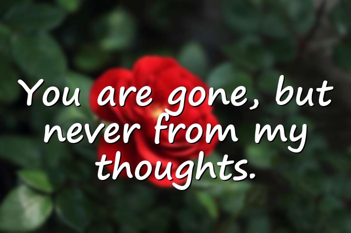 missing you quotes - 21