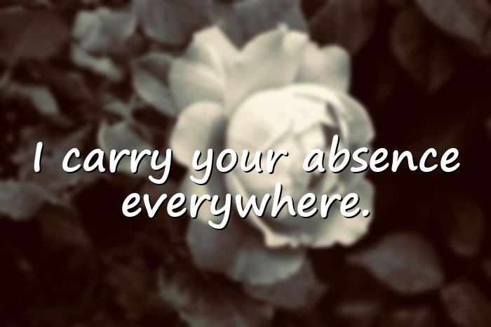 missing you quotes - 11