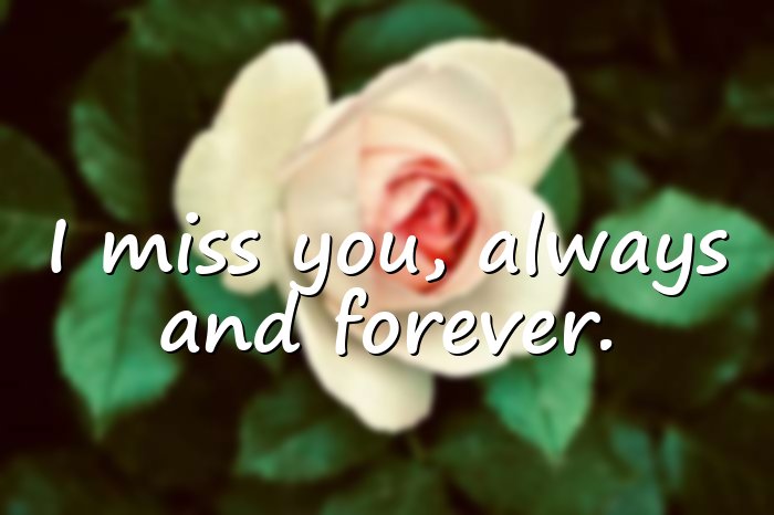 missing you quotes - 1