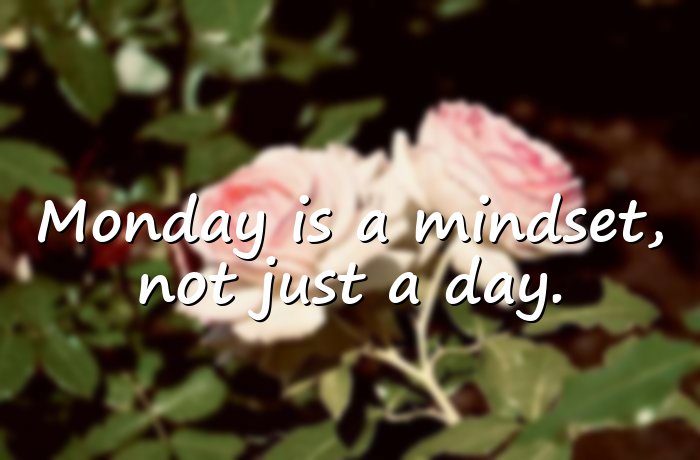 monday quotes - 11