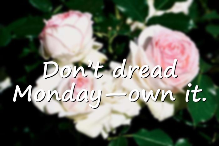 monday quotes - 21
