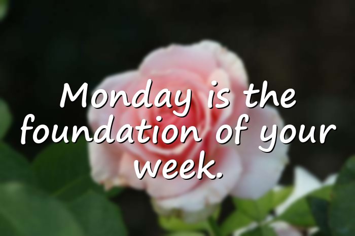 monday quotes - 16
