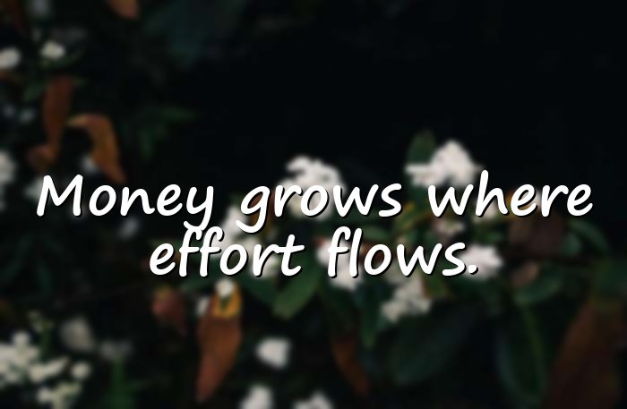 money quotes - 16