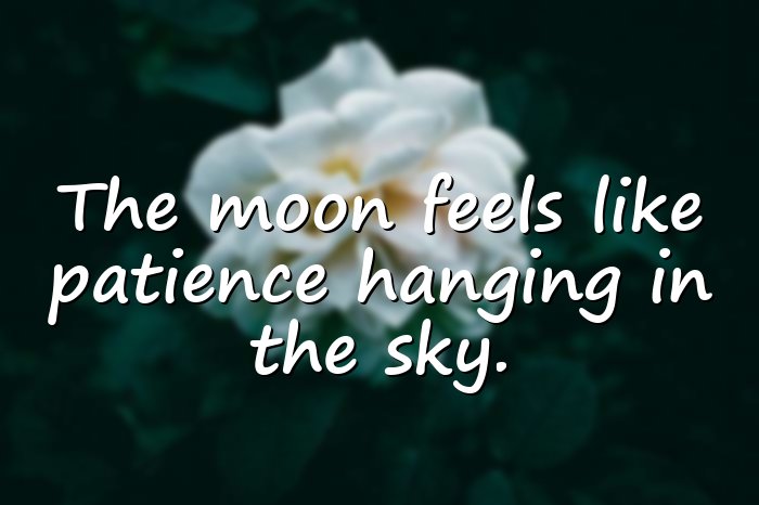 moon quotes - 16