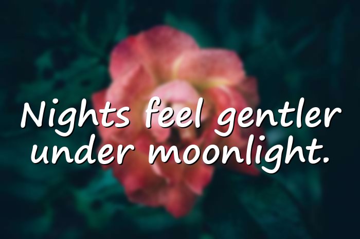 moon quotes - 11