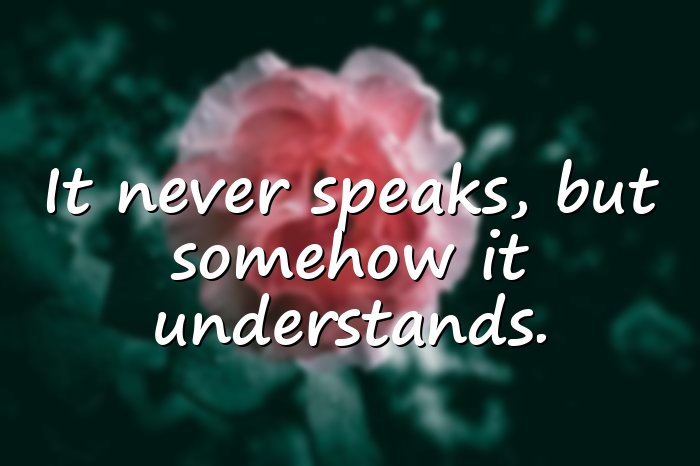 moon quotes - 6