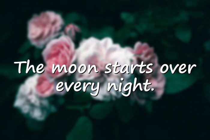 moon quotes - 1