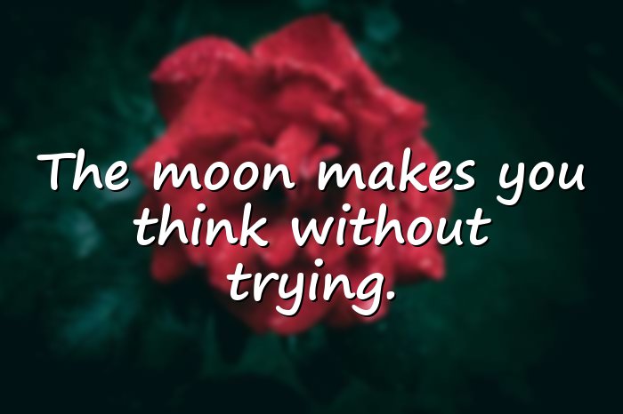 moon quotes - 11