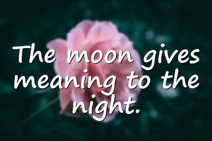 moon quotes - 6