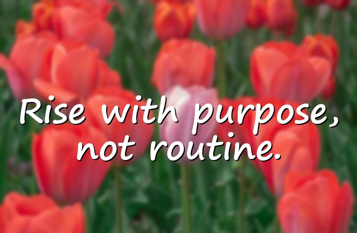 morning motivation - 6