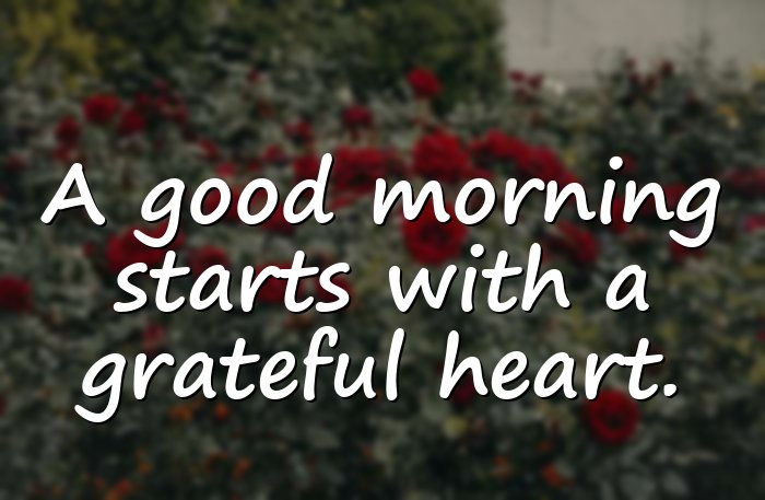 morning quotes - 1