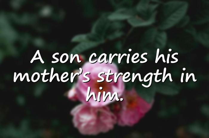mother and son quotes - 21
