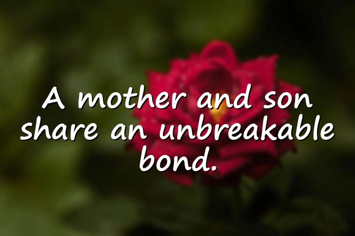 mother and son quotes - 11