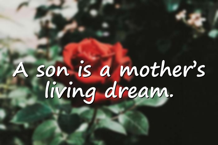 mother and son quotes - 21