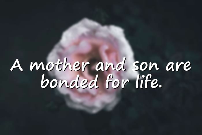 mother and son quotes - 6