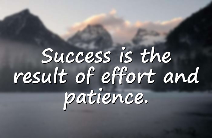 motivational quotes for success - 16