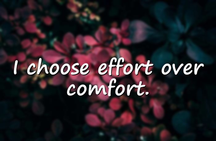 motto in life - 11