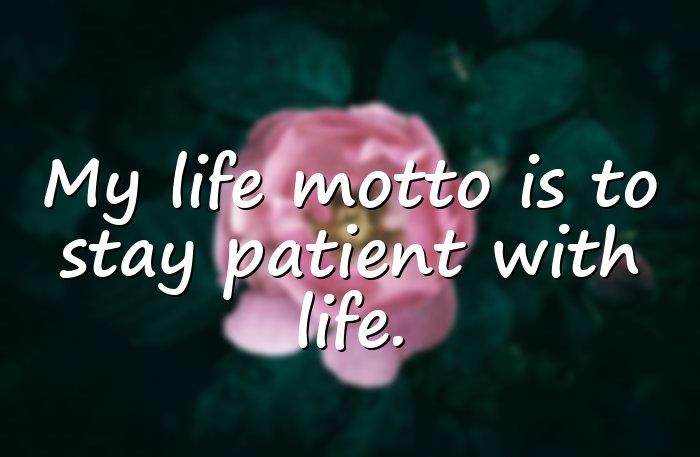 motto in life - 11