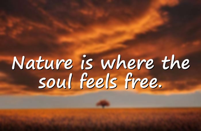 nature quotes - 16