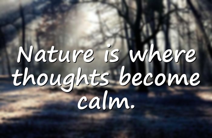 nature quotes - 21