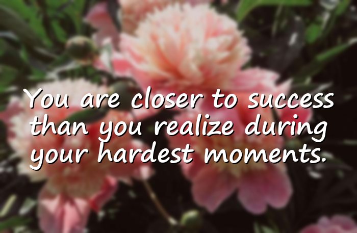 never give up quotes - 16