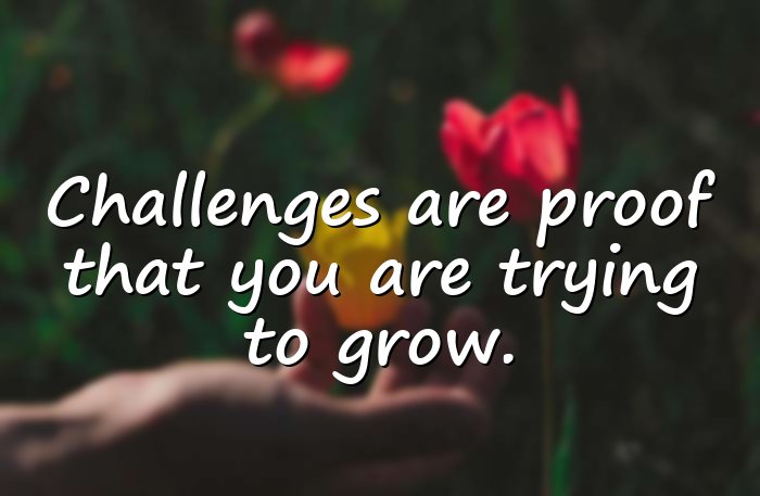 never give up quotes - 1