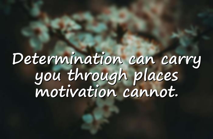 never give up quotes - 11