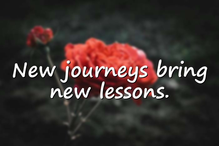 new journey quotes - 21