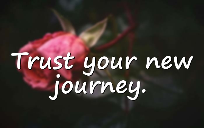new journey quotes - 16