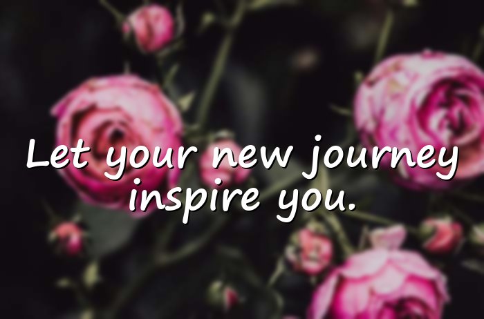 new journey quotes - 1
