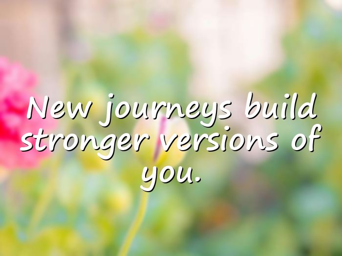 new journey quotes - 16