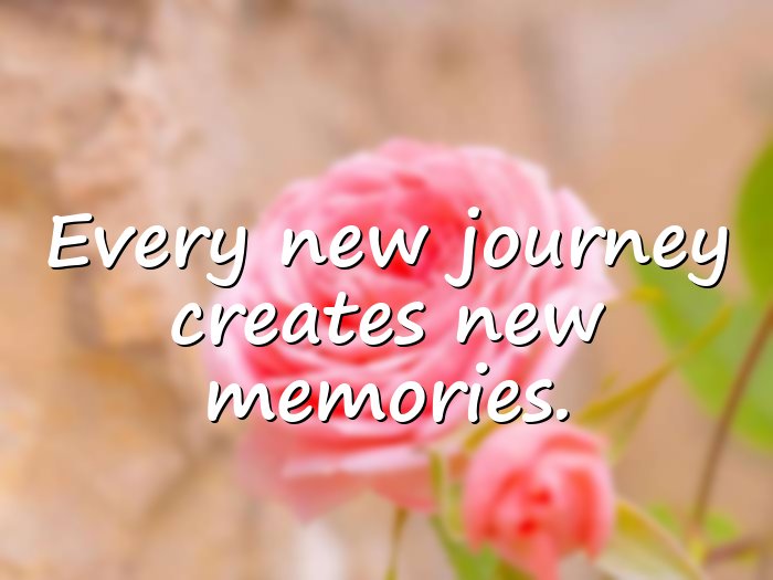 new journey quotes - 6