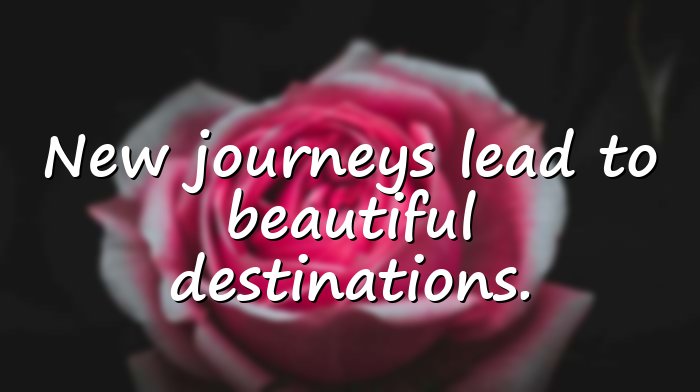 new journey quotes - 1