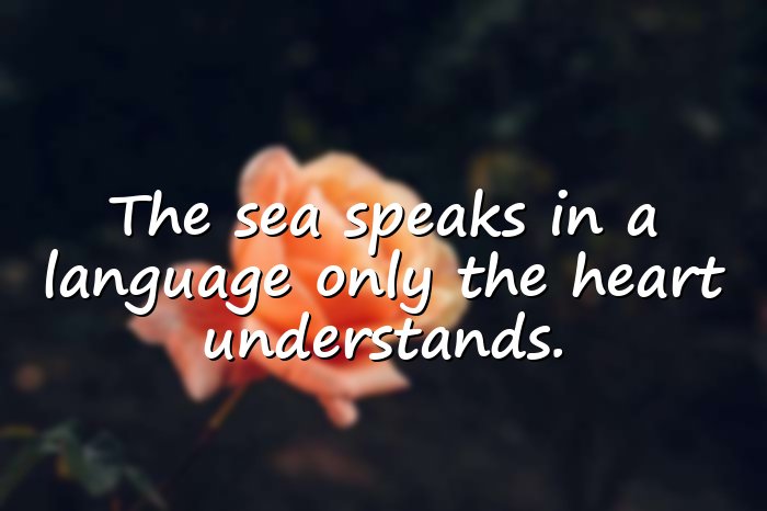 ocean quotes - 21