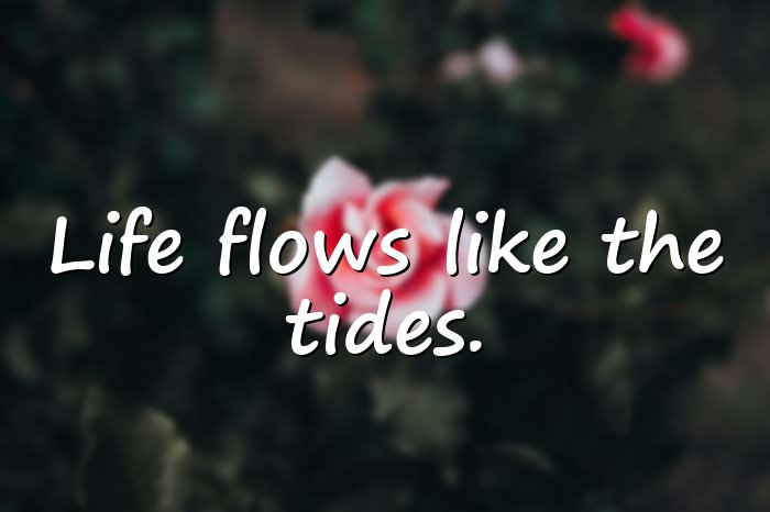 ocean quotes - 6