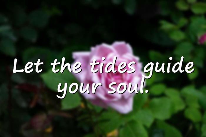 ocean quotes - 11