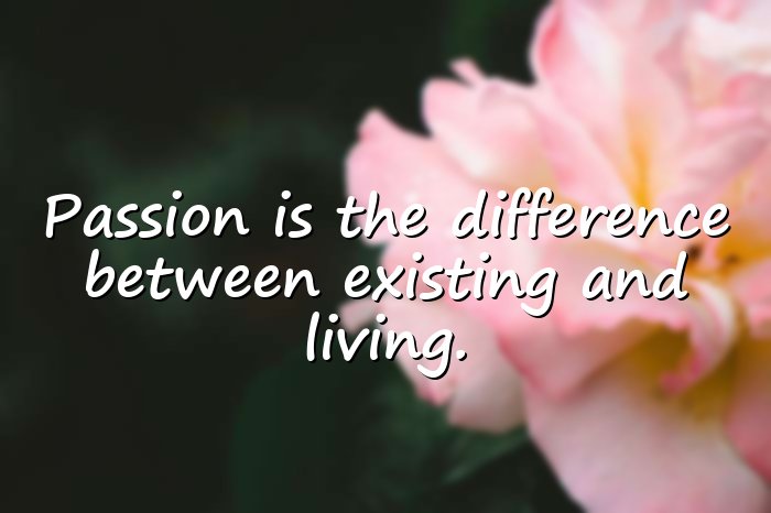 passion quotes - 16