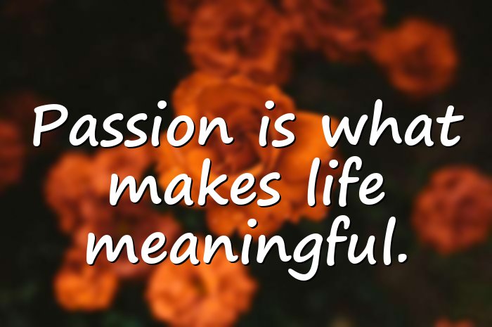 passion quotes - 11