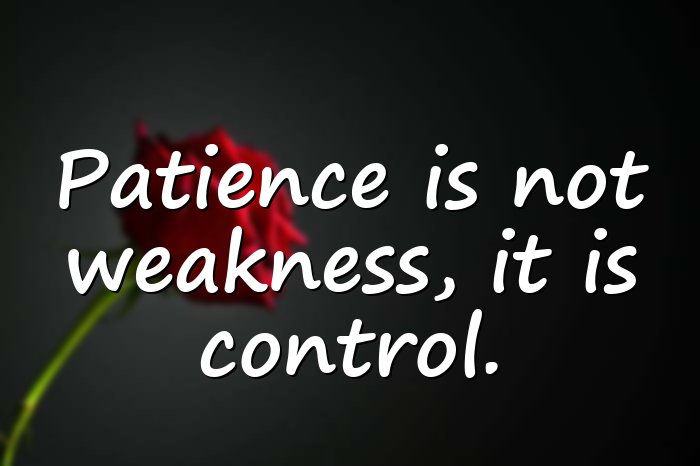 patience quotes - 21