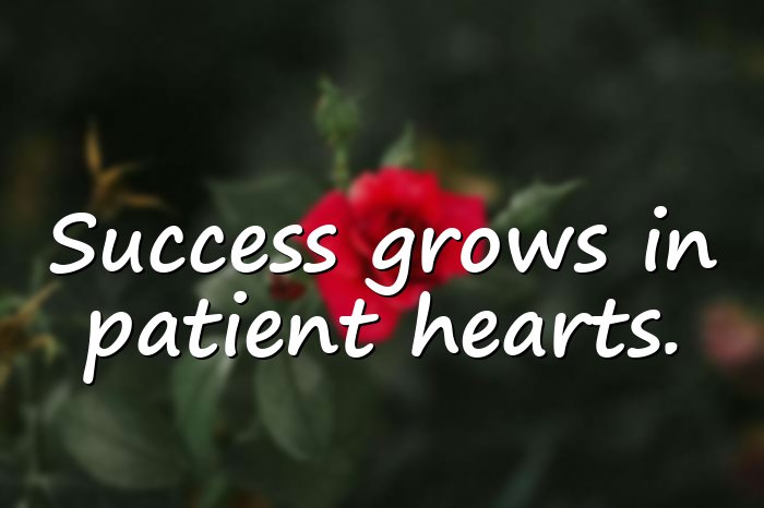patience quotes - 16