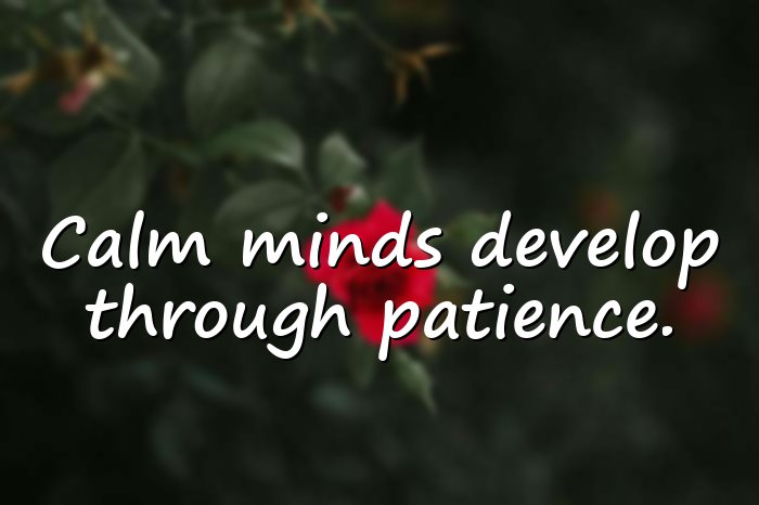 patience quotes - 11