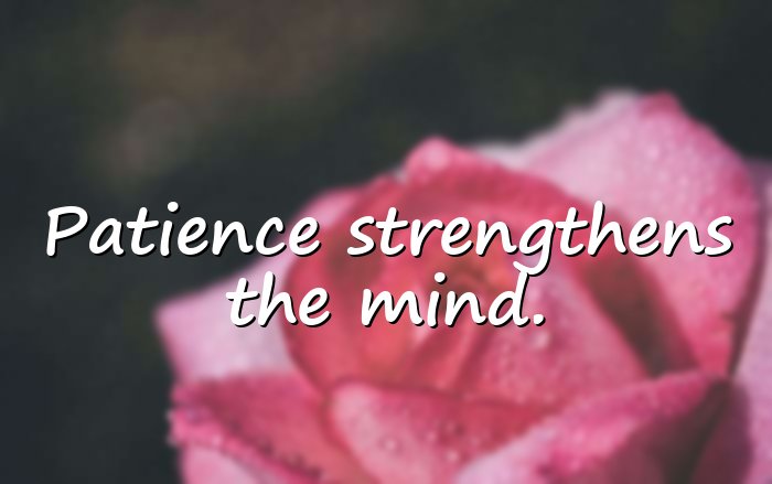 patience quotes - 21