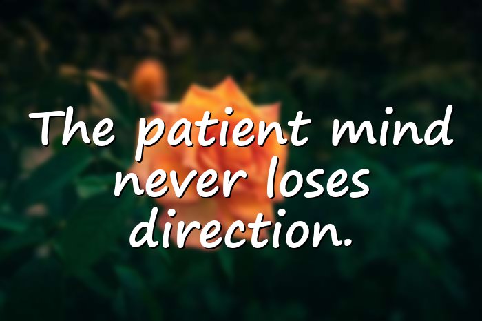 patience quotes - 16