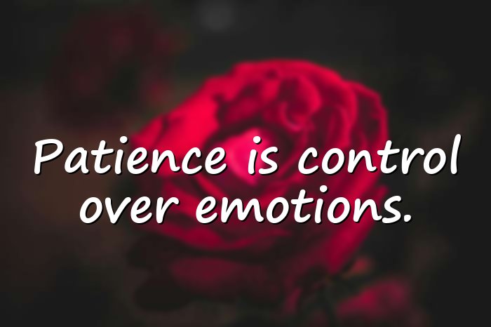 patience quotes - 11
