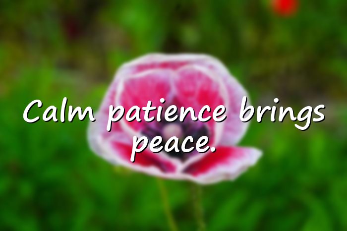 patience quotes - 6
