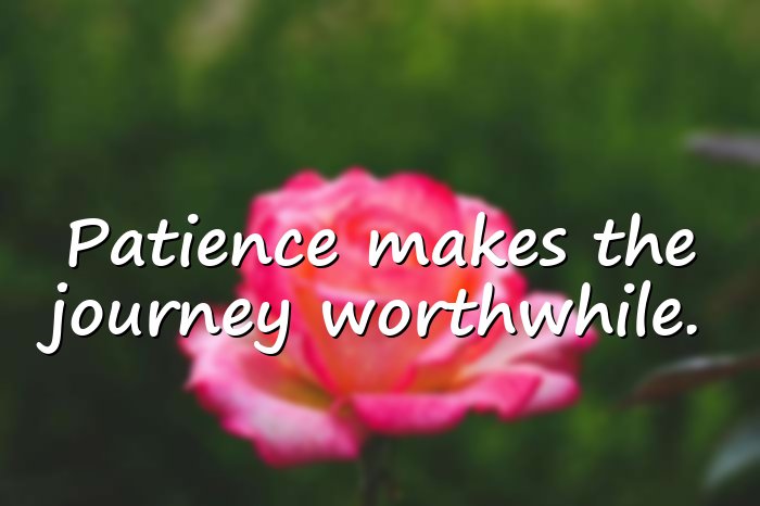 patience quotes - 1